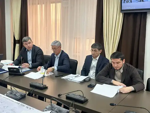 В Казахстане обновят 17 тыс. км элеткролиний и 444 высоковольтных подстанций (4)