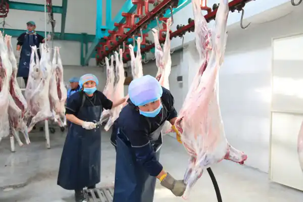 Более 2,5 тыс. человек работают в сфере переработки сельхозпродукции в Жамбылской области (4)