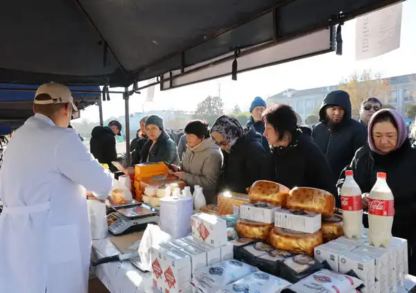 Более 2,5 тыс. человек работают в сфере переработки сельхозпродукции в Жамбылской области (9)