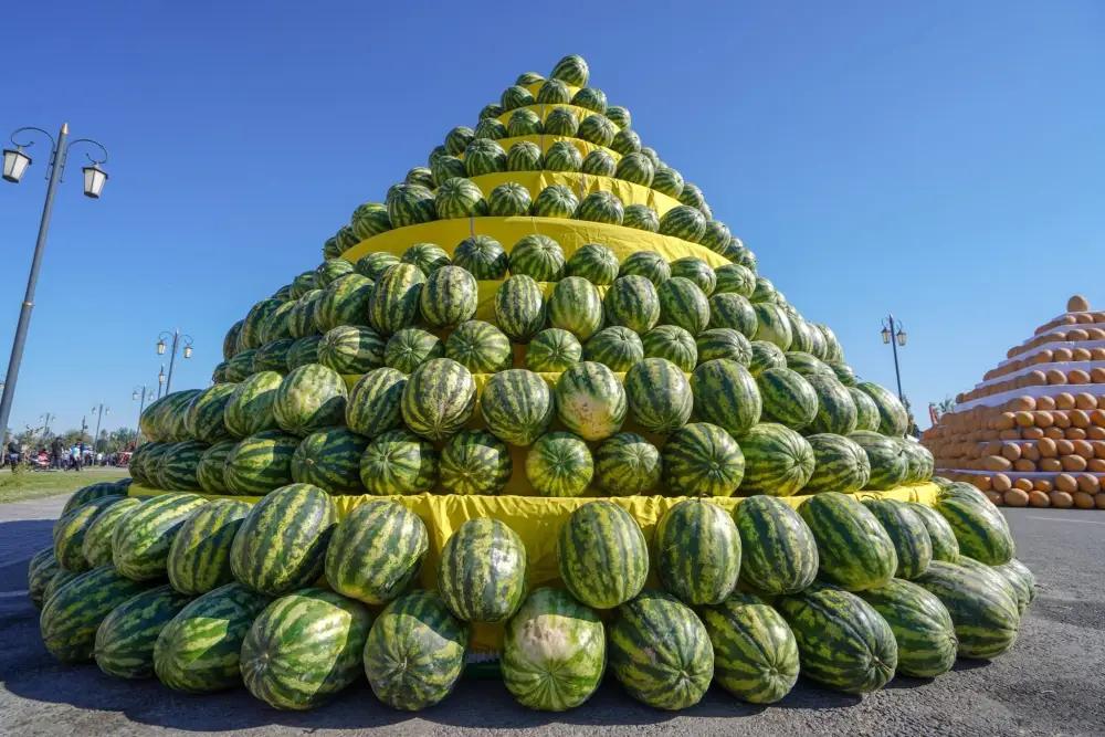 В ТУРКЕСТАНСКОЙ ОБЛАСТИ ЗА ТРИ ГОДА СОЗДАН 201 НОВЫЙ СЕЛЬСКОХОЗЯЙСТВЕННЫЙ КООПЕРАТИВ (9)