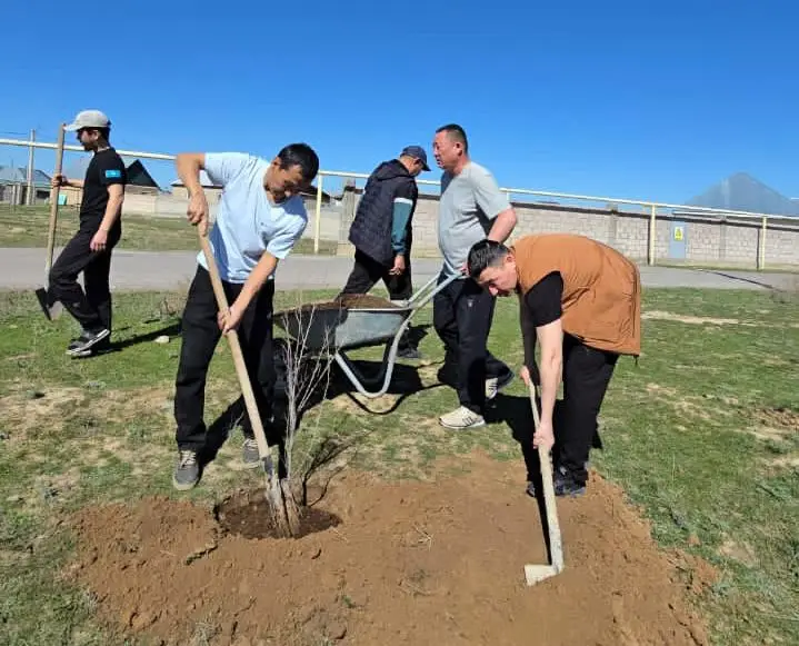 «Таза Қазақстан»: в Жамбылской области высадили свыше 9 тысяч деревьев (8)