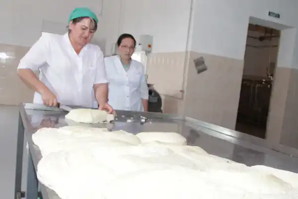 Более 2,5 тыс. человек работают в сфере переработки сельхозпродукции в Жамбылской области (8)