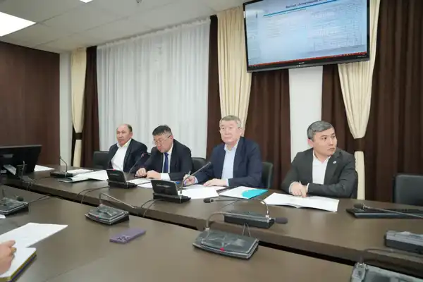 В Казахстане обновят 17 тыс. км элеткролиний и 444 высоковольтных подстанций (2)