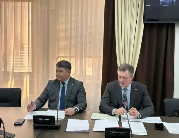 В Казахстане обновят 17 тыс. км электролиний и 444 высоковольтных подстанций (2)