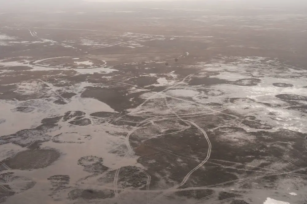 Исследования и озеленение: в Атырау разрабатывают меры по борьбе с пыльными бурями (10)