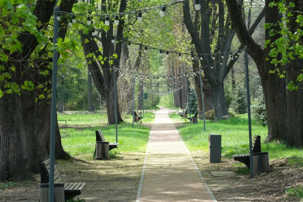 В Алматы разработают дендрологический план до 2030 года (4)