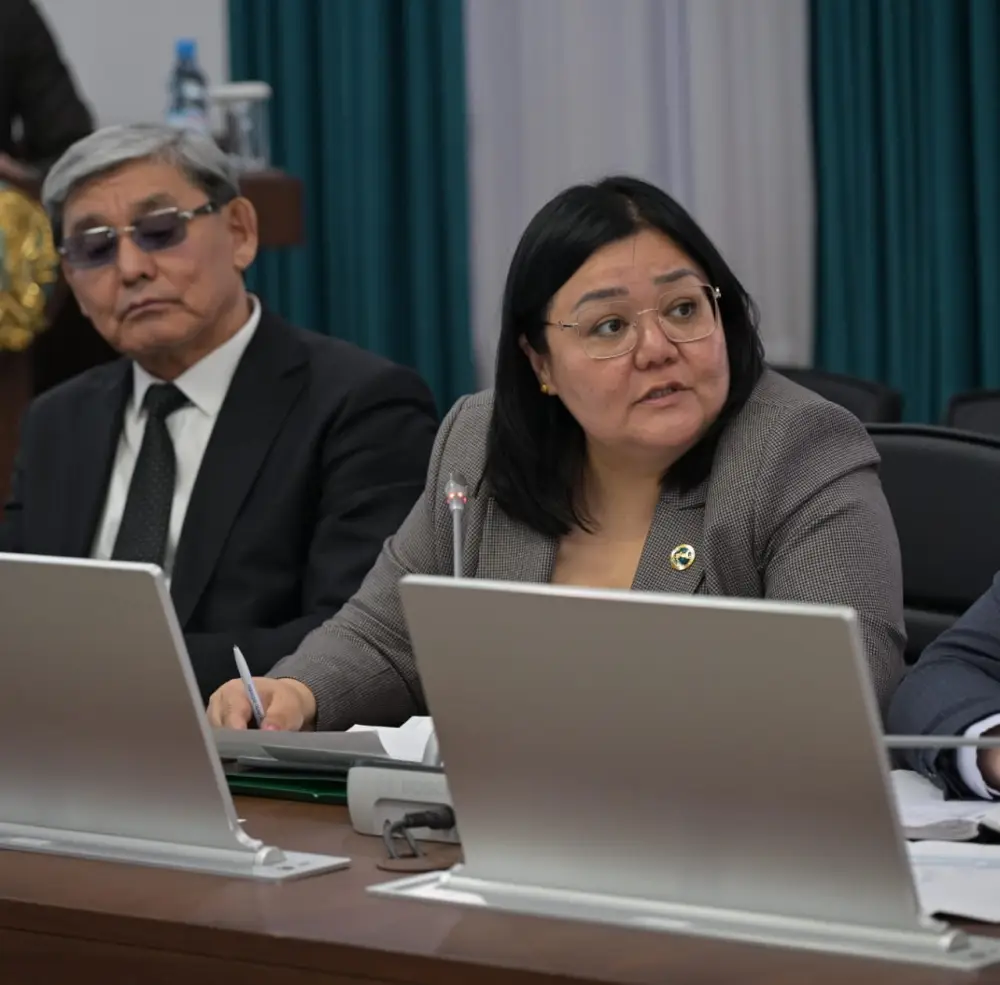 Сегодня в акимате области рассмотрели вопросы благоустройства и санитарной очистки населенных пунктов (6)