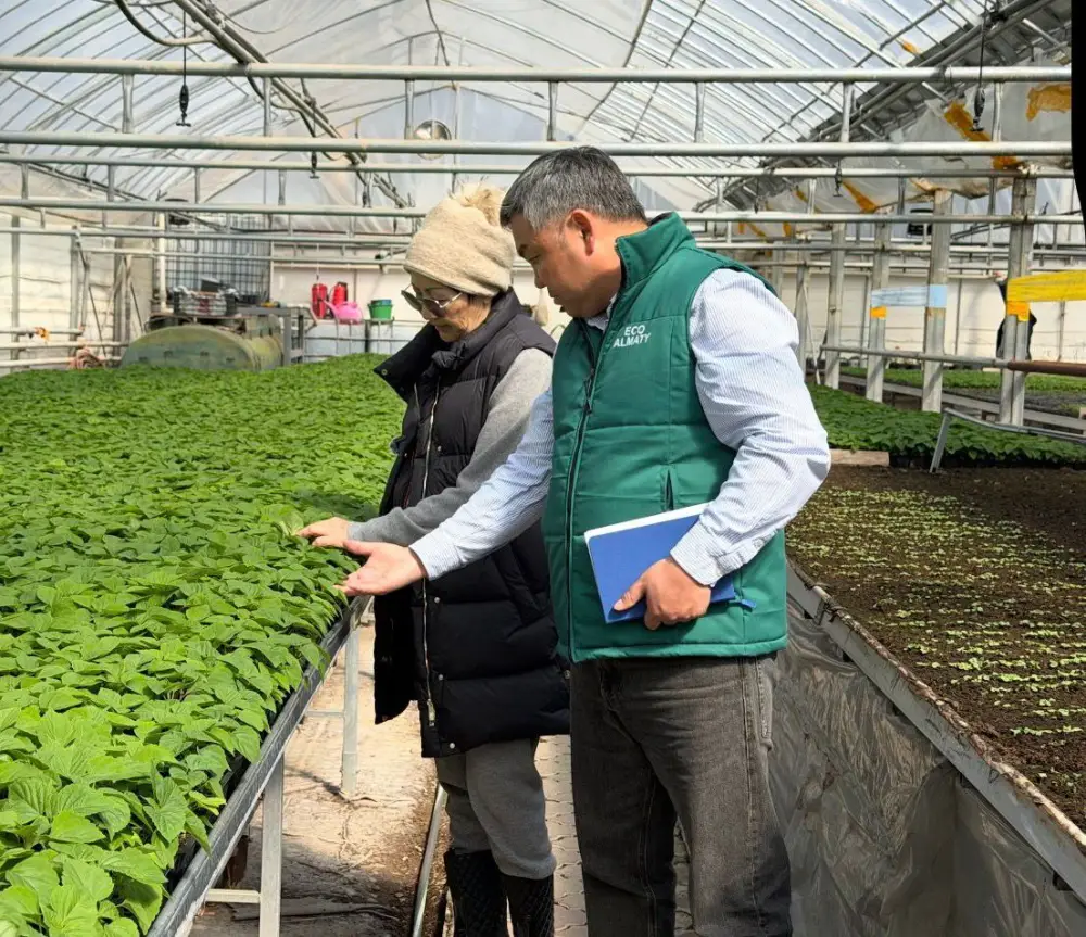 В Алматы цветы украсят более 380 тыс. кв. метров городских территорий (7)