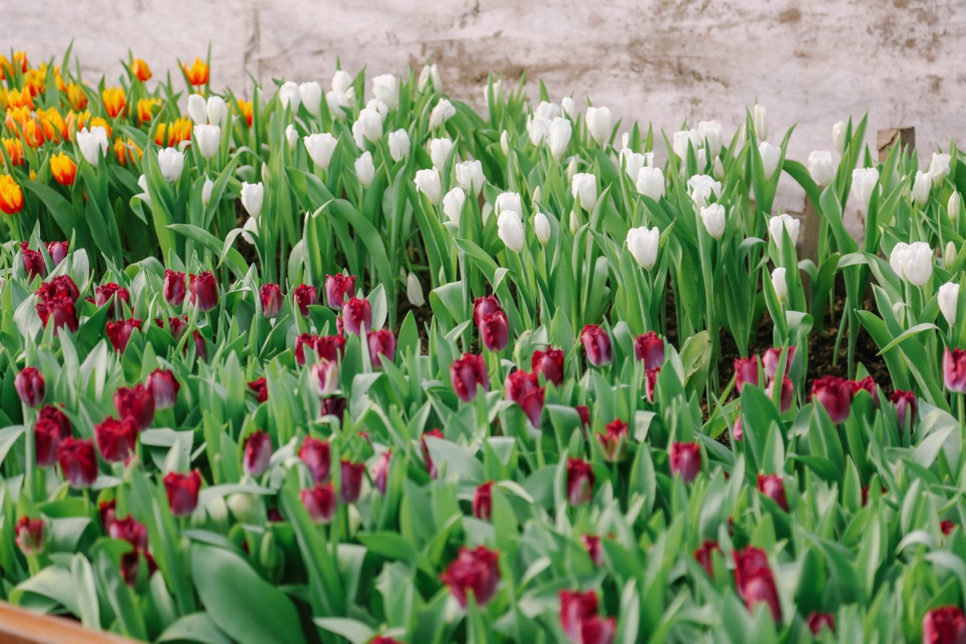 погода в марте