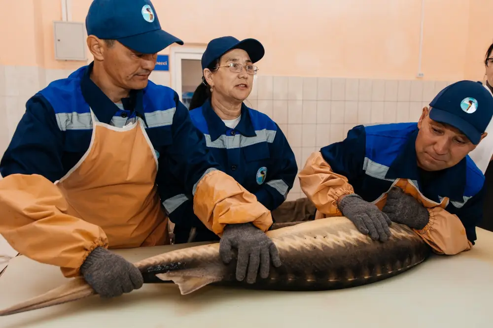 В Махамбетском районе будет введён в эксплуатацию завод по выращиванию рыбы с годовой мощностью 130 тонн (2)