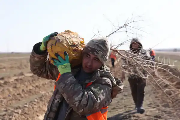 В Илийском районе ведутся масштабные работы по озеленению (4)