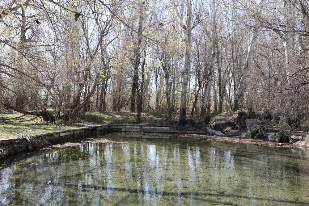 ТУРКЕСТАН: В САУРАНЕ В РАМКАХ АКЦИИ «МӨЛДІР БҰЛАҚ» ОЧИЩЕНО 13 КИЛОМЕТРОВ РУСЕЛ РОДНИКОВ И РЕК (3)