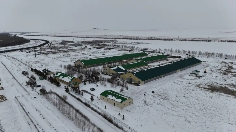 В Бурабайском районе ведется строительство крупной молочно-товарной фермы и завода по переработке молока (4)