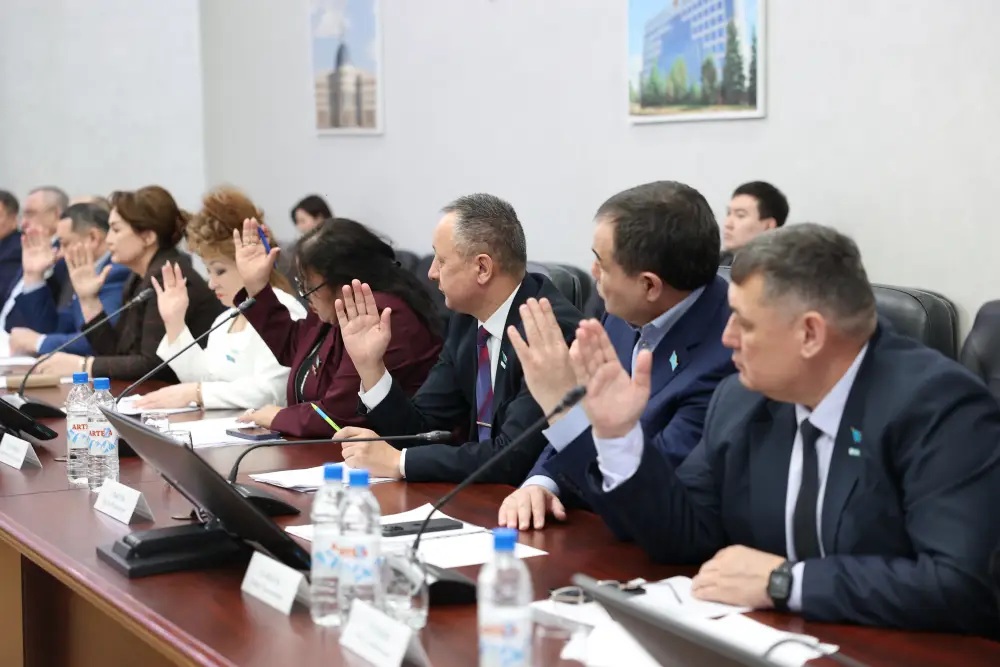 Внеочередная сессия маслихата (3)