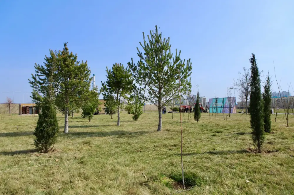 В ТУРКЕСТАНСКОЙ ОБЛАСТИ В ЭТОМ ГОДУ ВЫСАДЯТ 1 МЛН САЖЕНЦЕВ (4)