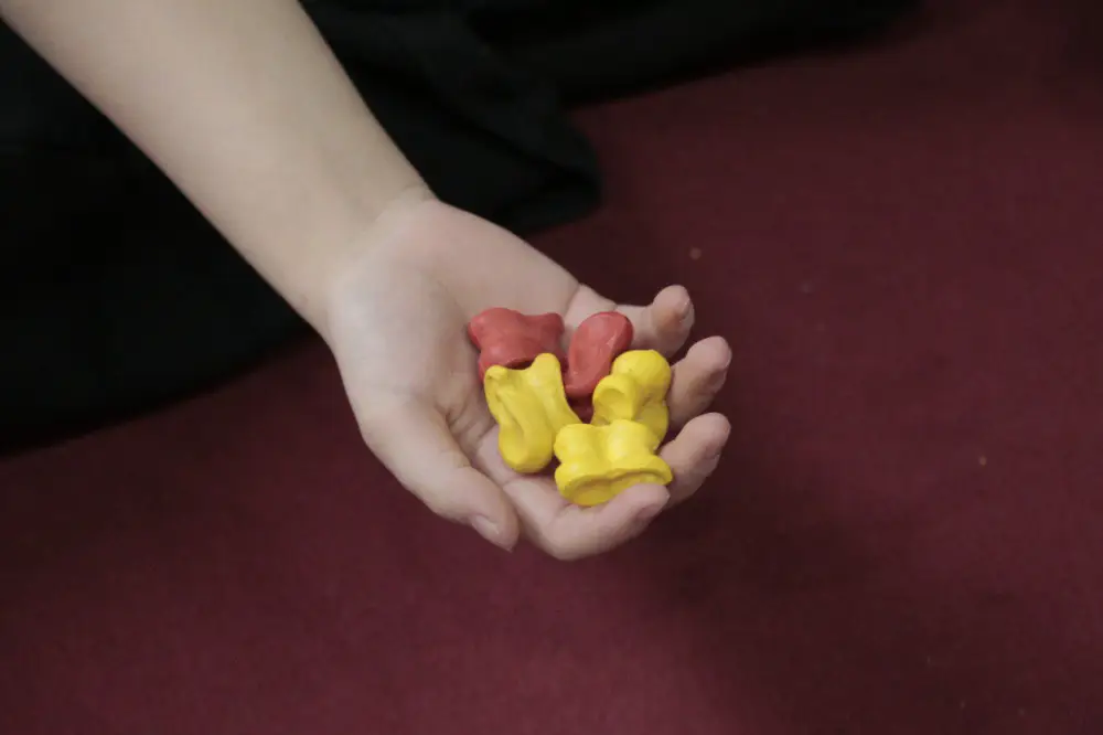 В Кокшетау установлен национальный рекорд по игре бес асық (2)