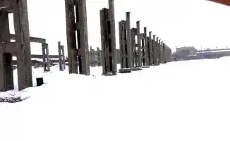 В ВКО запускаются новые производства по переработке молока