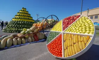 Создание 201 сельскохозяйственного кооператива в Туркестанской области за три года