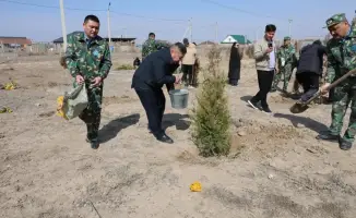 Деревья, голосование и будущее: как одно связано с другим?