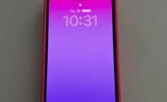 Виртуальные ловушки: Генпрокуратура предупреждает об опасностях интернет-мошенничества