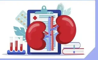 День открытых дверей в Караганде бесплатные консультации обследования УЗИ почек