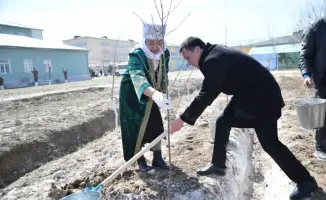 500 деревьев для обновления: Отырар в цвету!