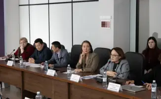 Эксперты обсуждают Конституцию и межэтническую стабильность на встрече в Институте прикладных этнополитических исследований