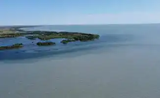 Глубины Балхаша: исследуя рыбный мир озера