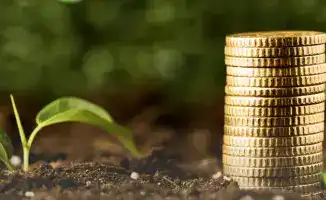 Раннее финансирование посевной: новые возможности для 2900 аграриев в подготовке к урожаю 2026 года