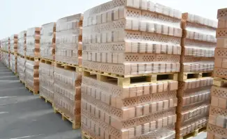 ТУРКЕСТАН: ИНДУСТРИАЛЬНАЯ ЗОНА «БАДАМ» - ЭКОНОМИЧЕСКИЙ ОРЕОЛ РАЗВИТИЯ