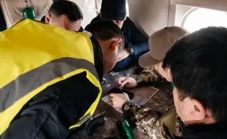 Каспийское дно: от пыльных бурь к зелёным оазисам!