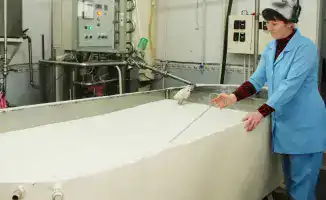 Развитие переработки сельхозпродукции в Жамбылской области: вклад более 2,5 тыс. работников