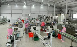 ТОО «Радуга»: более 30 лет стабильной работы и вклада в развитие региона