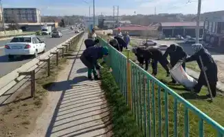 Субботник в Сарыагаше: чистим улицы вместе