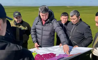 В Туркестанской области началась активная борьба с саранчой