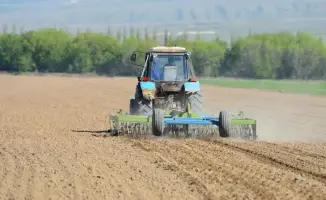 Увеличение посевной площади в Жетісу до 511,8 тысяч га в 2026 году