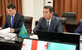 Казахстан и Грузия обсуждают новые проекты в АПК: рост товарооборота на 77%