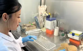 Разработка растительной БАД для укрепления иммунитета и профилактики диабета: шаг к улучшению здоровья населения