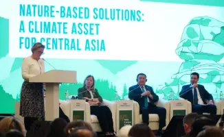 Углеродные единицы: шанс для аграриев Казахстана!