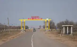 В Илийском районе высаживают 30 тысяч саженцев вдоль 15 километров дороги