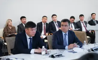 В Туркестанской области началась активная борьба с саранчой, привлечено более 2 030 человек