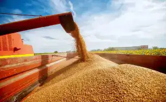 Спрос на зерно от птицеводческих предприятий в 2026 году