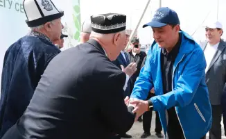 Жамбылская область: высажено 9 тысяч деревьев