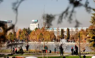 В Алматы выделены места для продажи цветов в преддверии Международного женского дня