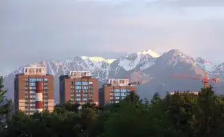 Весенняя дератизация стартует в Алматы