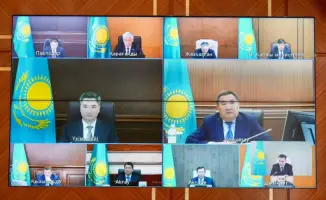 В Восточном Казахстане стартует масштабная высадка 36 млн саженцев на 7 тыс. га