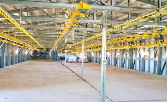 Новая птицефабрика в Кызылординской области