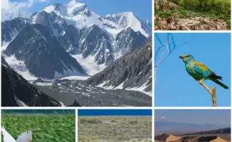 Казахстан утвердил новую Концепцию биоразнообразия на 2026-2035 годы для защиты природы и устойчивого использования ресурсов