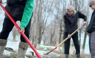 Алгабас: школьники защищают природу родного села