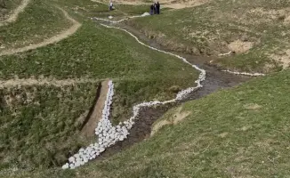 В Толебийском районе прошла экологическая акция по очистке водных источников в честь Наурыза